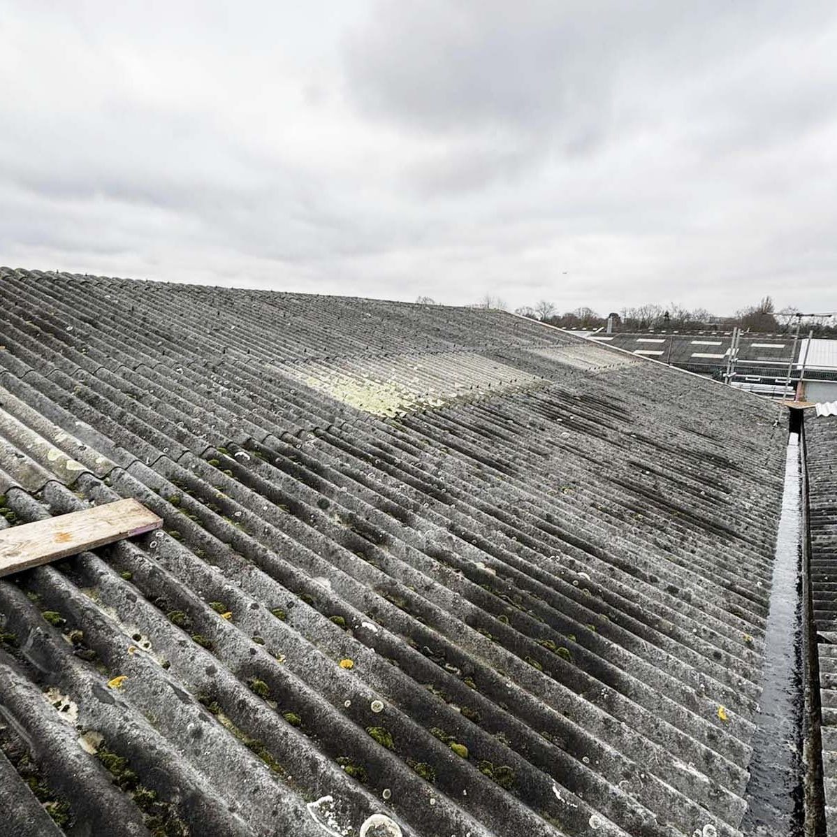 493610672_1228701349265099_7465432309895143889_n Asbestos Removal and Disposal Services in Maldon